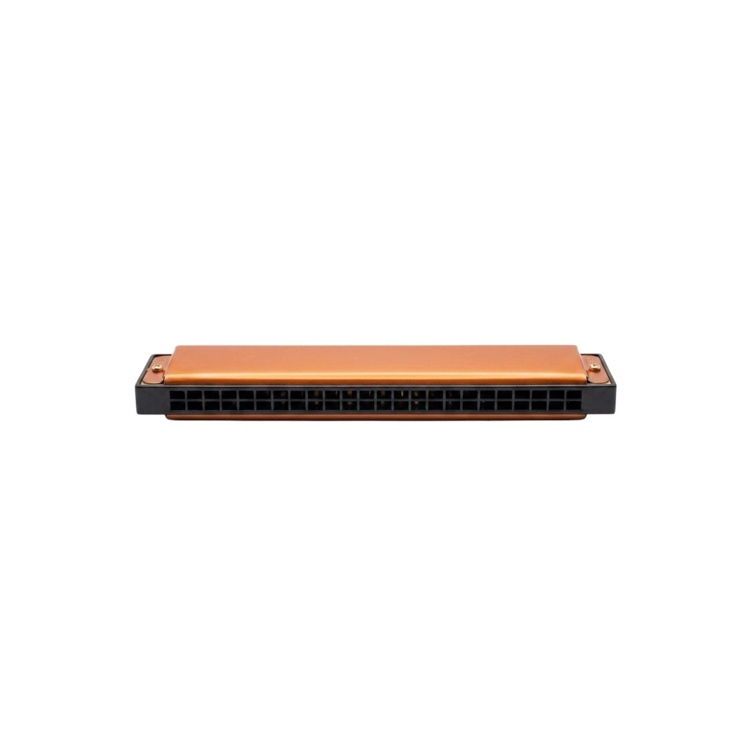 Bee 24H Tremolo Harmonica - 24 Holes