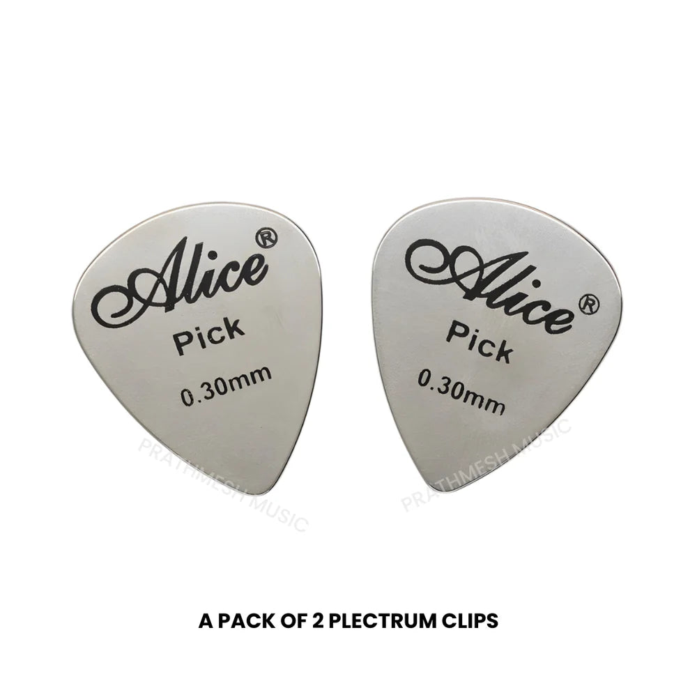 Alice APSTGB2-2 Stainless Steel Plectrum