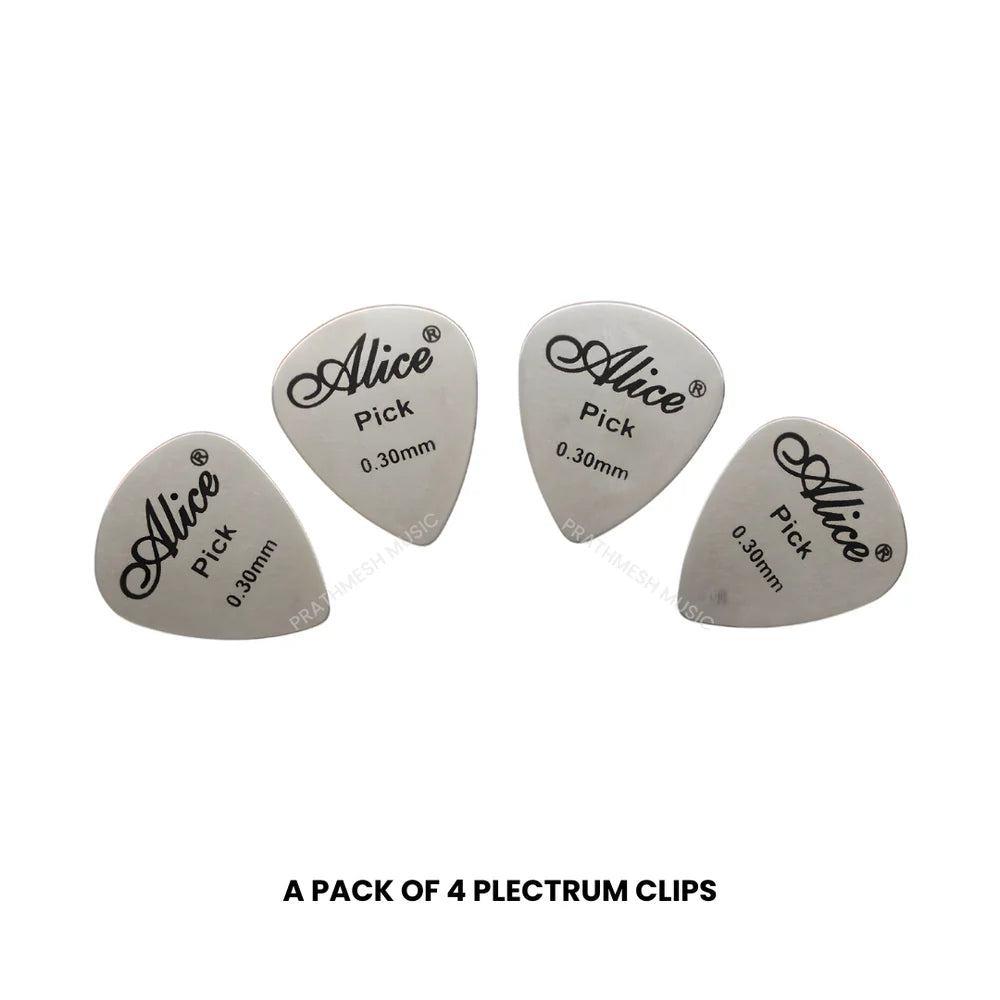 Alice APSTGB2-4 Stainless Steel Plectrum