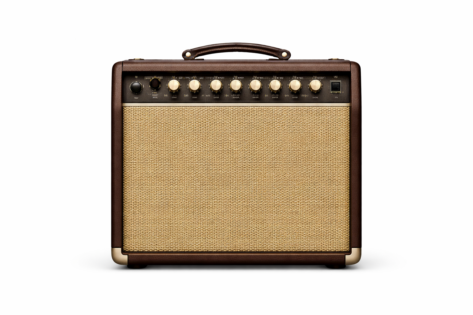 Acoustic Guitar Amps