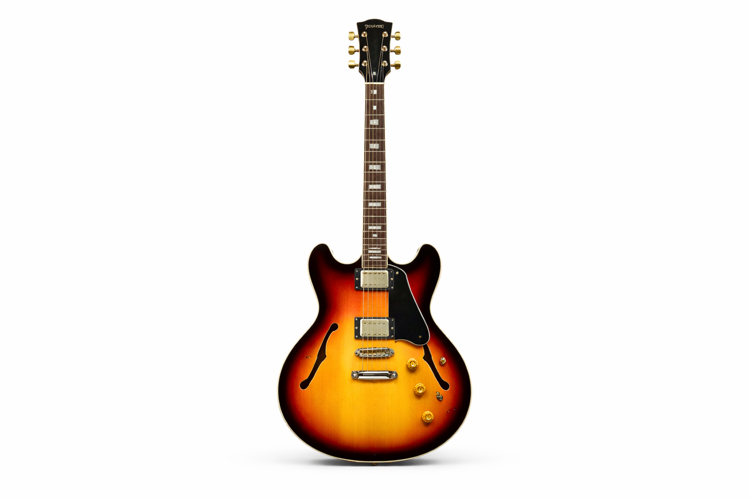 Acoustic / Electric Guitars