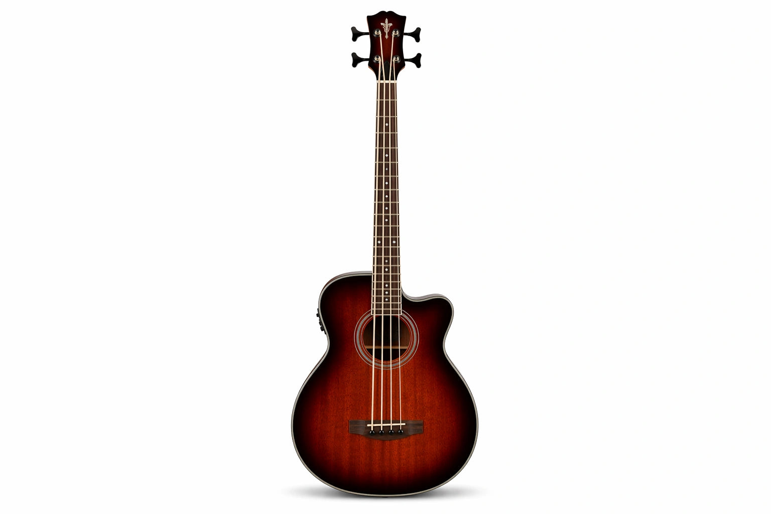 Acoustic Bass Guitars