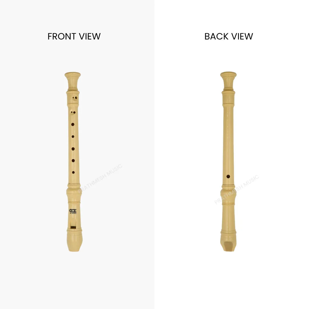 Dadi Plastic Flute Box - Recorder Flute