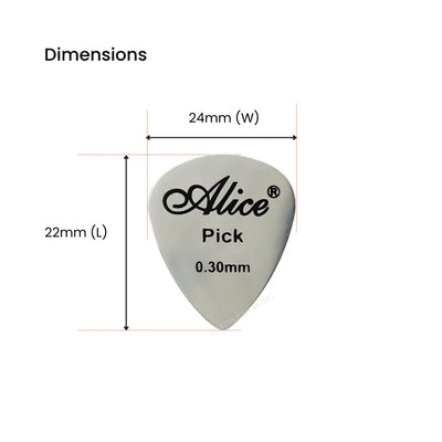 Alice APSTGB2-2 Stainless Steel Plectrum